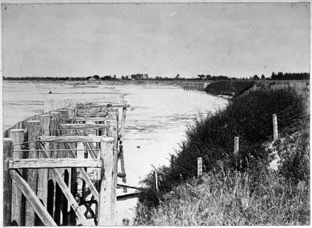 Timber Groynes, Manawatu River