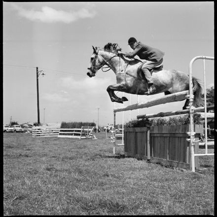 2018N_2017-20_MS000948a - Skilful Showjumping