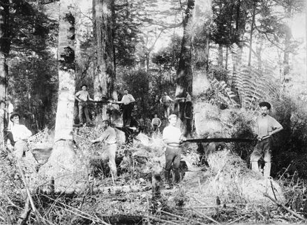 Bush Felling at Komako, Pohangina Valley