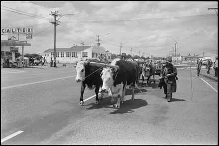 2023N_2017-20_AO171_002