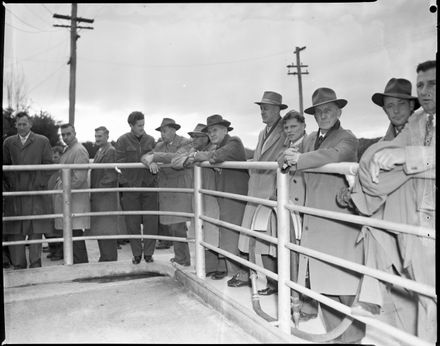 "Veterinarians Inspect Experimental Farm" - Resource cover image