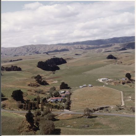 Aerial Photograph of Turitea