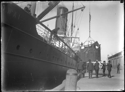 Horse Being Loaded onto Steamer Ship