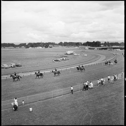 2018N_2017-20_MS000896b - [Feilding Show}