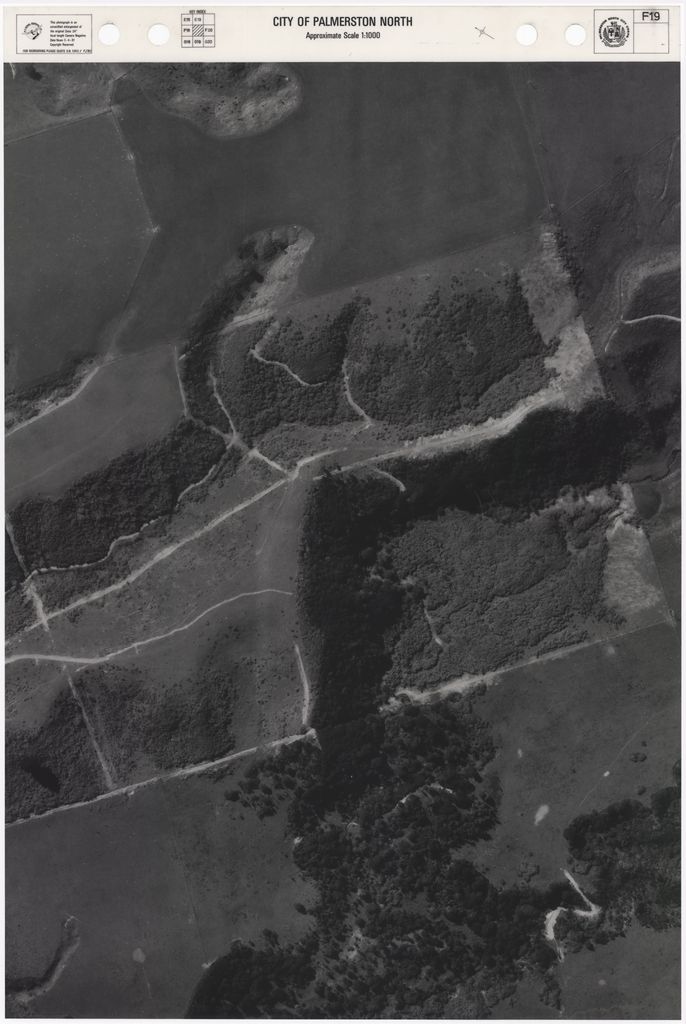 1981 Aerial Map - F19