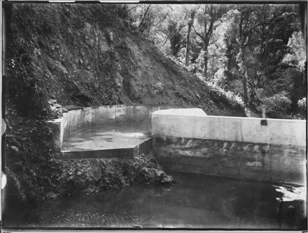 Second Dam at Turitea Stream, Upstream Side