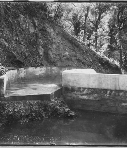 Second Dam at Turitea Stream, Upstream Side
