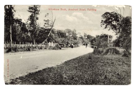 Postcard - Whiskers Bush, Awahuri Road, Feilding - Resource cover image