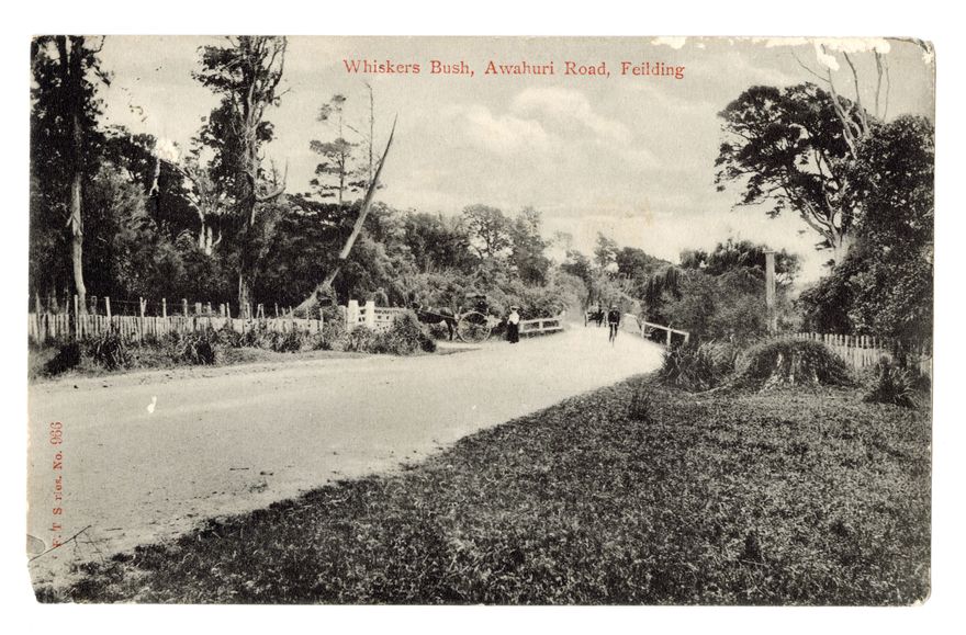 Postcard - Whiskers Bush, Awahuri Road, Feilding