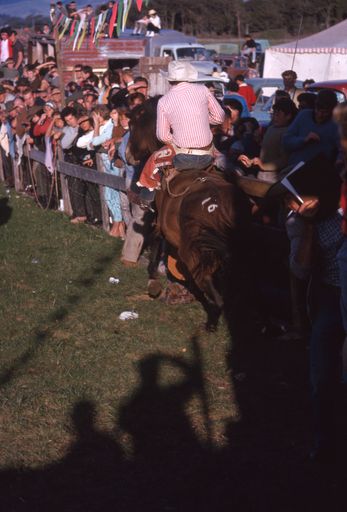 Linton Rodeo