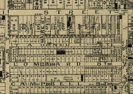 Taonui Street, Name and History