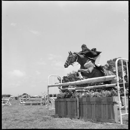 2018N_2017-20_MS000945a - Skilful Showjumping
