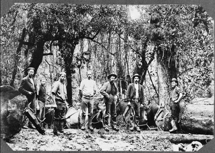 Log-Hauling with Horse Teams, Apiti