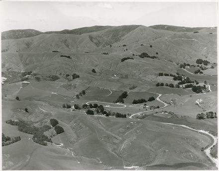 Aerial Photograph of Turitea - Resource cover image