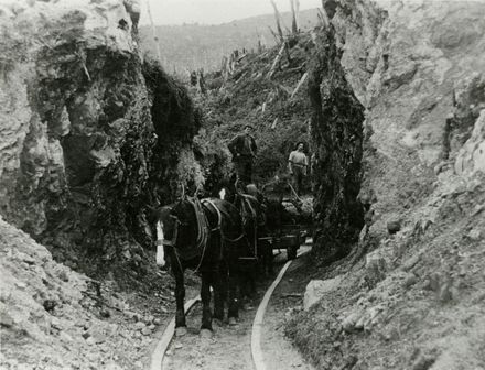 Logs being moved on tram track, Kahuterawa
