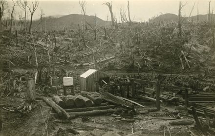 P.W.D. Sawmill - Mangahao Electric Power Scheme