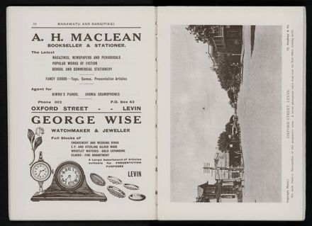 Bradbury's Illustrated Series No. XI. Manawatu and Rangitikei Districts 29