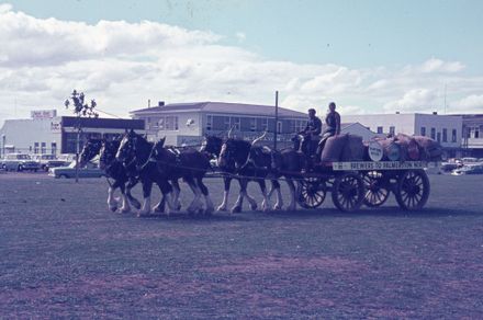 Palmerston North Centenary Celebrations