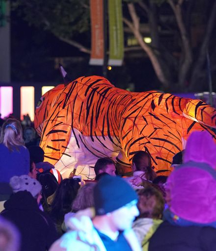 Festival of Cultures Lantern Parade 2018