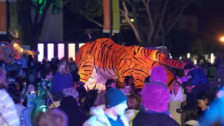 Festival of Cultures Lantern Parade 2018
