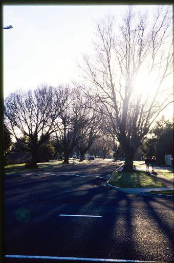 Looking down residential street - Resource cover image