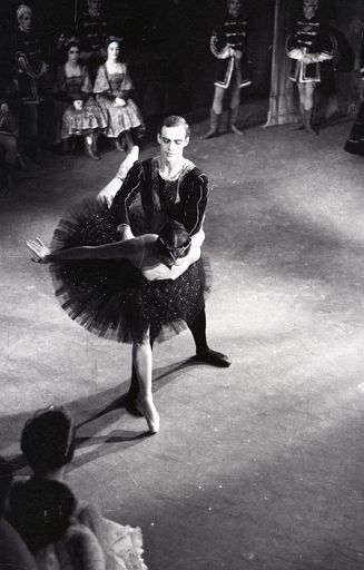 "Swan Lake" Ballet - Resource cover image