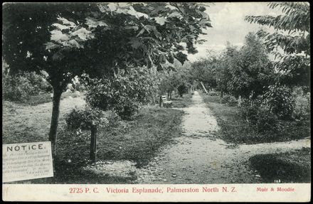 Path Through Victoria Esplanade Gardens 1