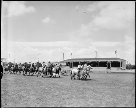 "Horses on Parade at Royal Show"