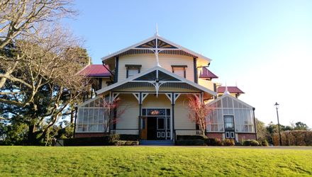 Caccia Birch in winter