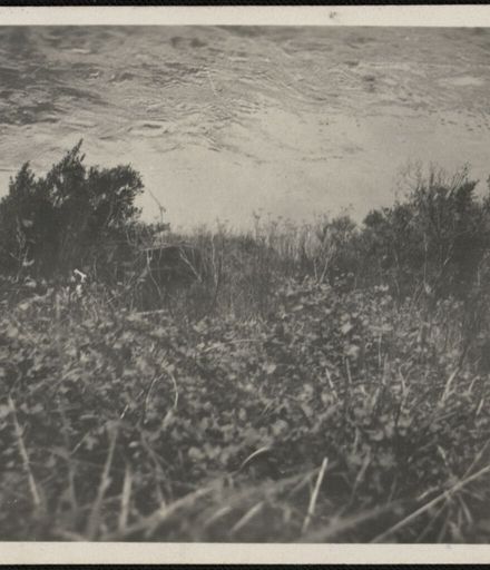 Manawatū Gorge Photograph Album - 44