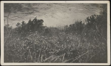 Manawatū Gorge Photograph Album - 44