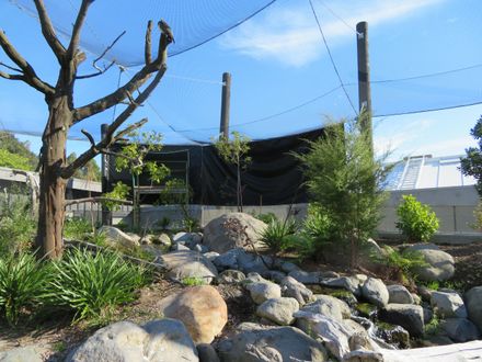 Wildbase animal recovery centre