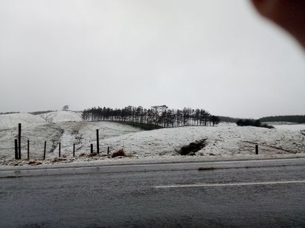 Snow on the Pahiatua Track