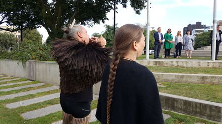 Waitangi Day 2020: The call of the pūtatara - Resource cover image