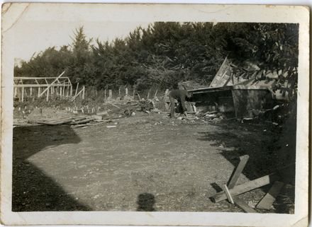 Wind Damage - Shailer's Nursery