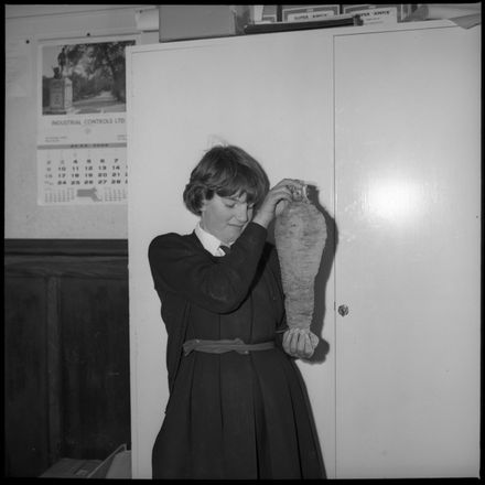 "4 1/2 LB Carrot Shirley Devantier"