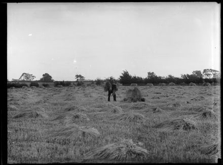 Man with Wheat