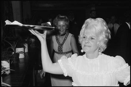 Unknown party attendees - Resource cover image