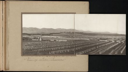 Souvenir of Miranui and Weka Flaxmills Page 43