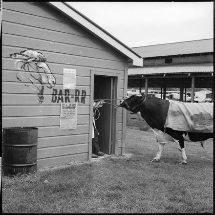 2018N_2017-20_MS000862 - Had A Thirst For A Beer