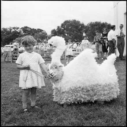 2018N_2017-20_MS000900 - [Feilding Show}