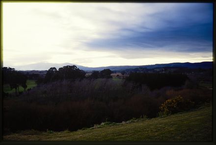 Rural view