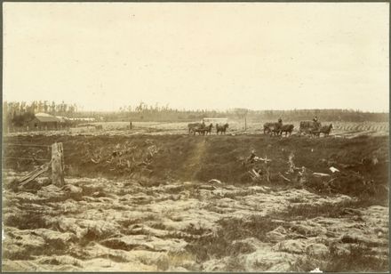 Miranui Flaxmill, Shannon - Resource cover image