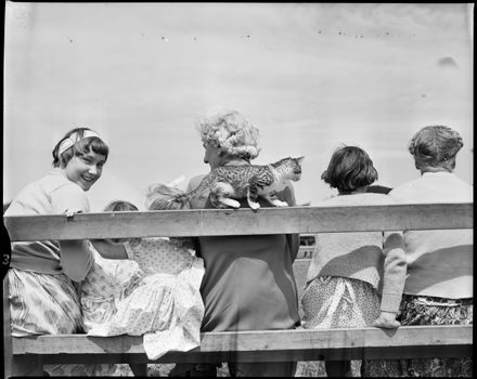 "Interest in Proceedings" Newbury School Calf Club Day