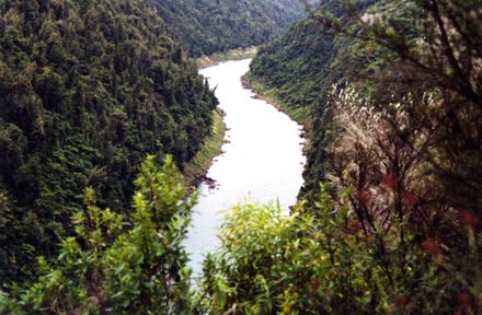 Whanganui River near Jerusalem