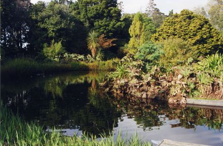 Duck Pond at Victoria Esplanade