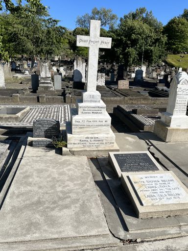 Headstone - Monrad family - Resource cover image