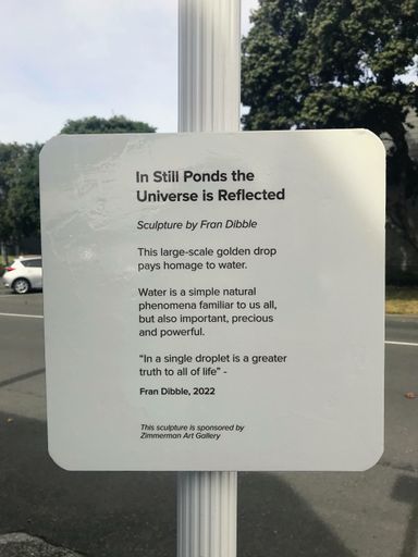 In Still Ponds the Universe is Reflected