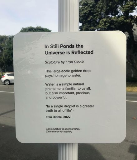 In Still Ponds the Universe is Reflected