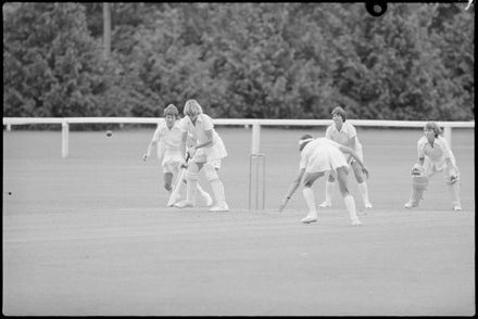 Hallyburton Johnstone Shield – Central Districts v North Shore - Resource cover image